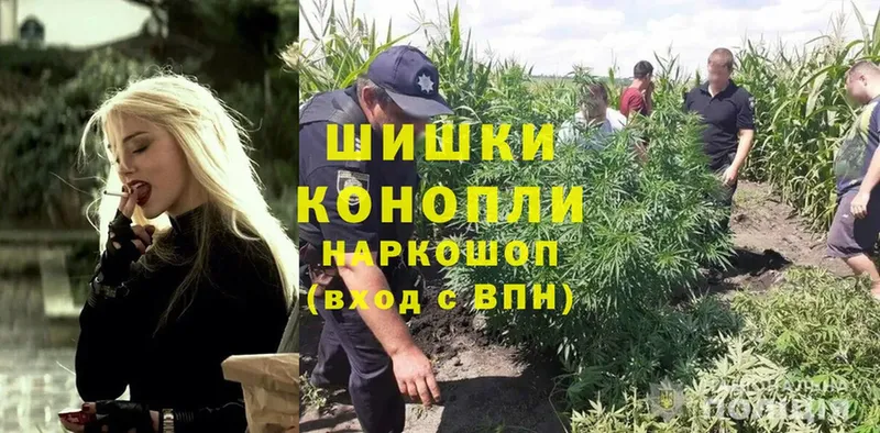 Канабис план  Кольчугино 